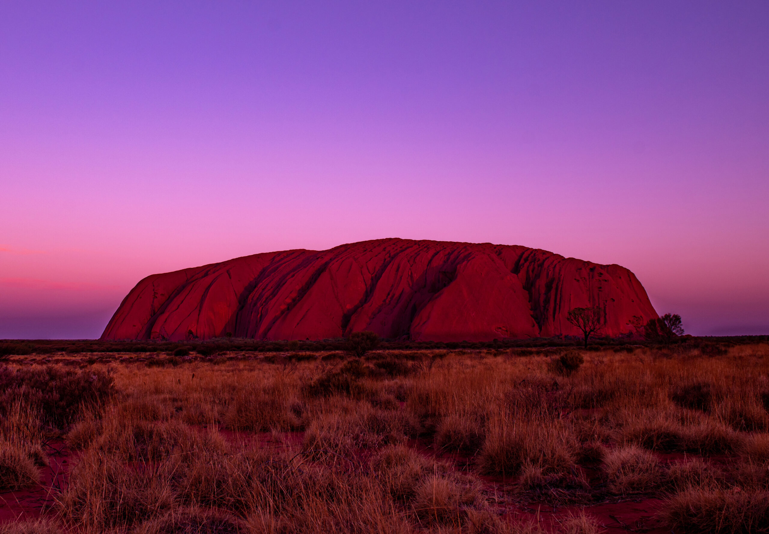 ULURU1